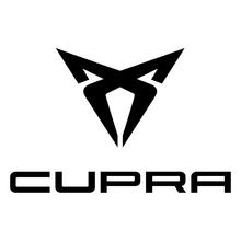 Cupra-Car-Battery.jpg