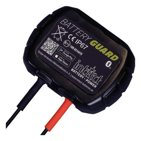 intAct-Battery-Guard-4 - main image