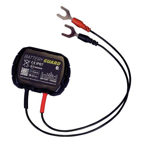 intAct-Battery-Guard-5 - main image